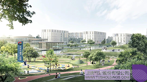 1641798105879685.jpg 3c.jpg